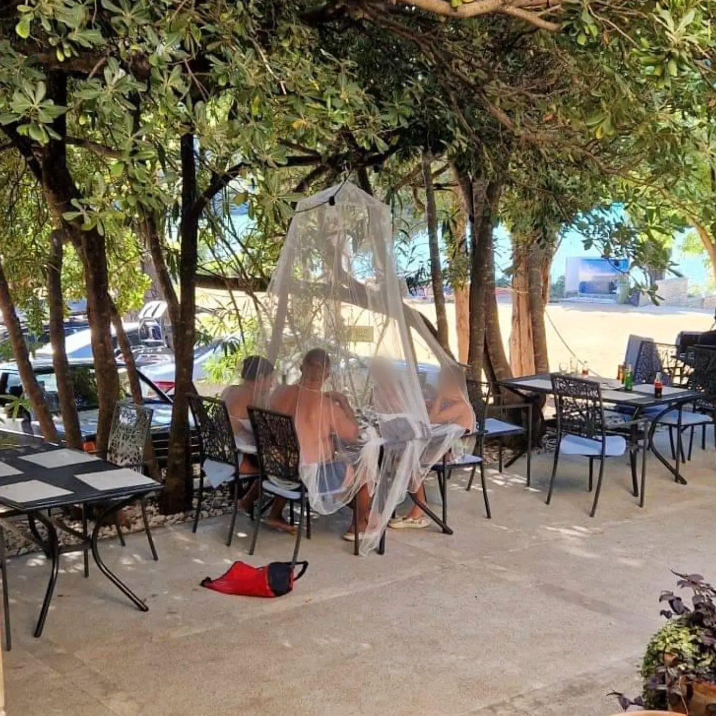 294051889_1698774303811957_1765727119645889553_n