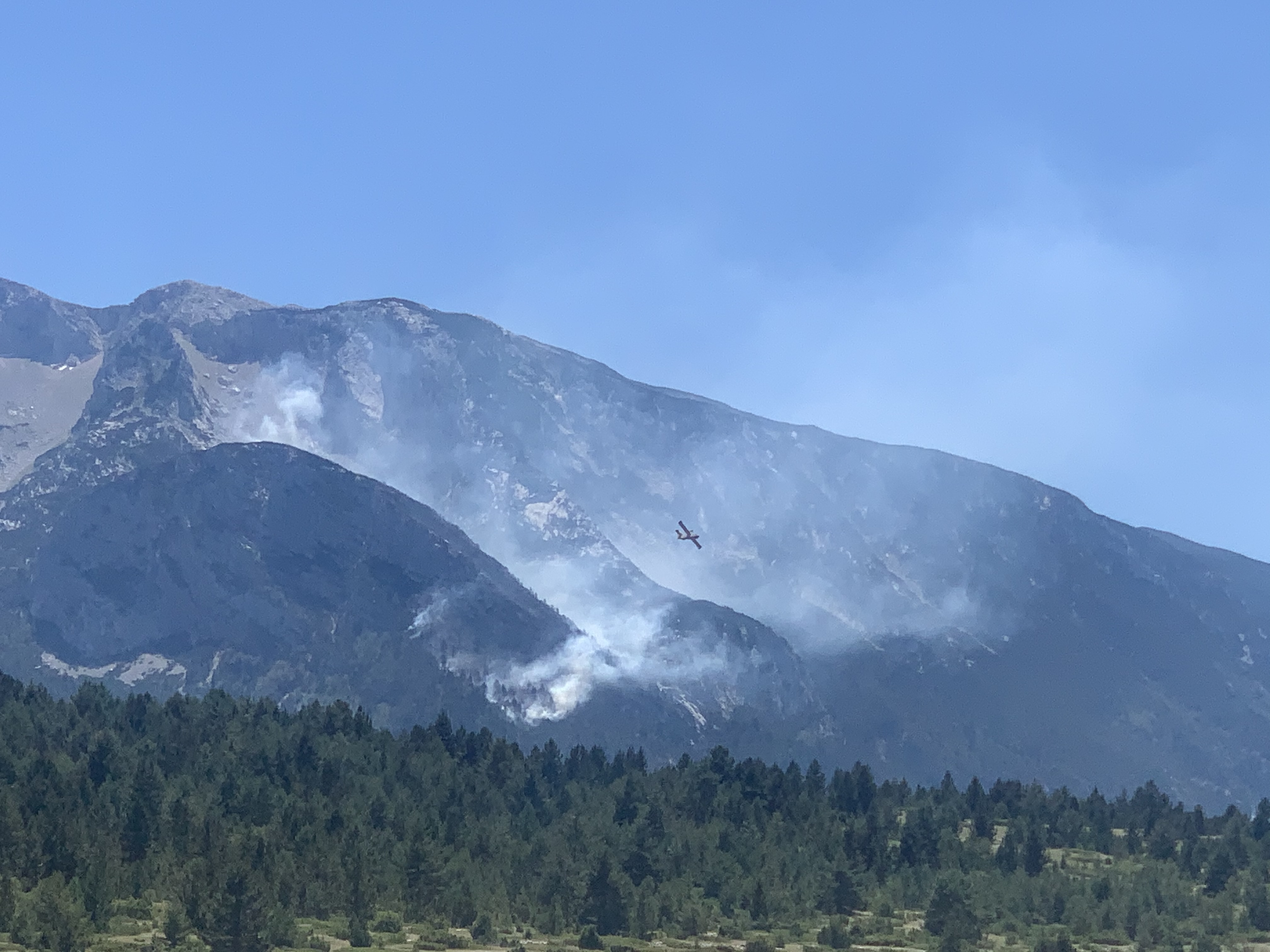 Đenana Kaminić/ N1