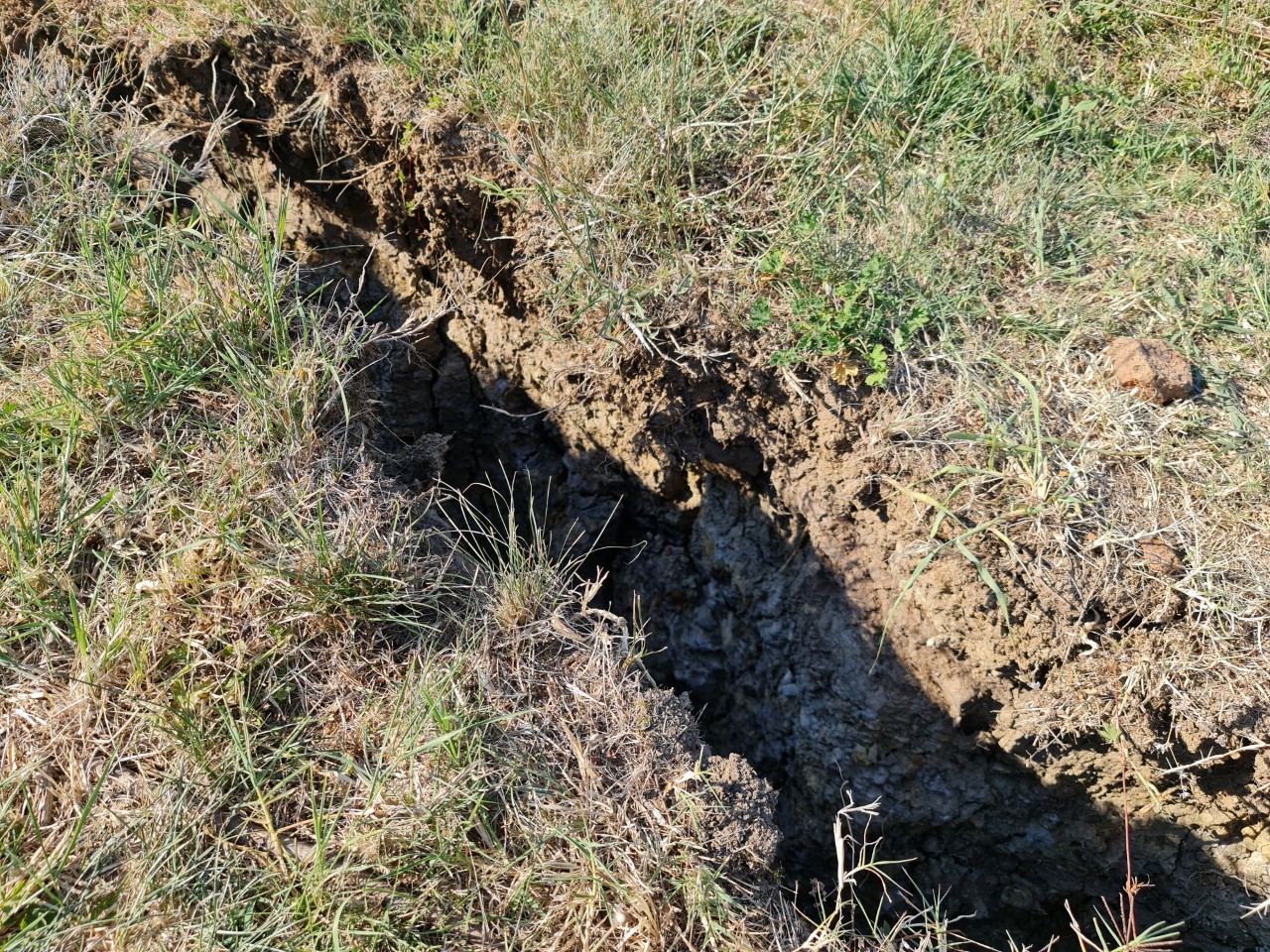 thumbnail_20220722_163907