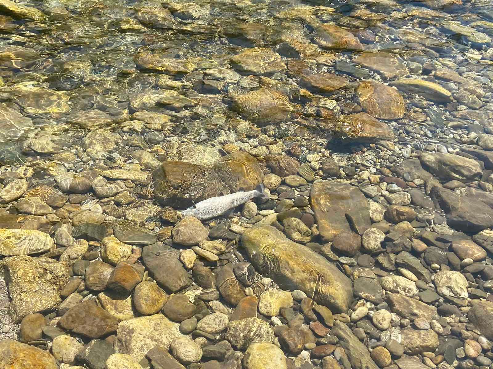 295203385_2892831994359638_4186193909866262761_n