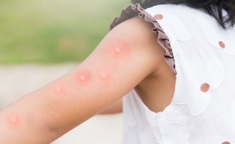 ec96de4e-0392-42e8-a69b-87a931c964e5