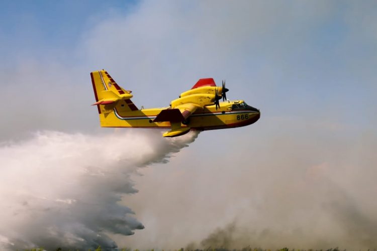 1628698664-235187724_188716249919108_7536360494889513590_n-750x500