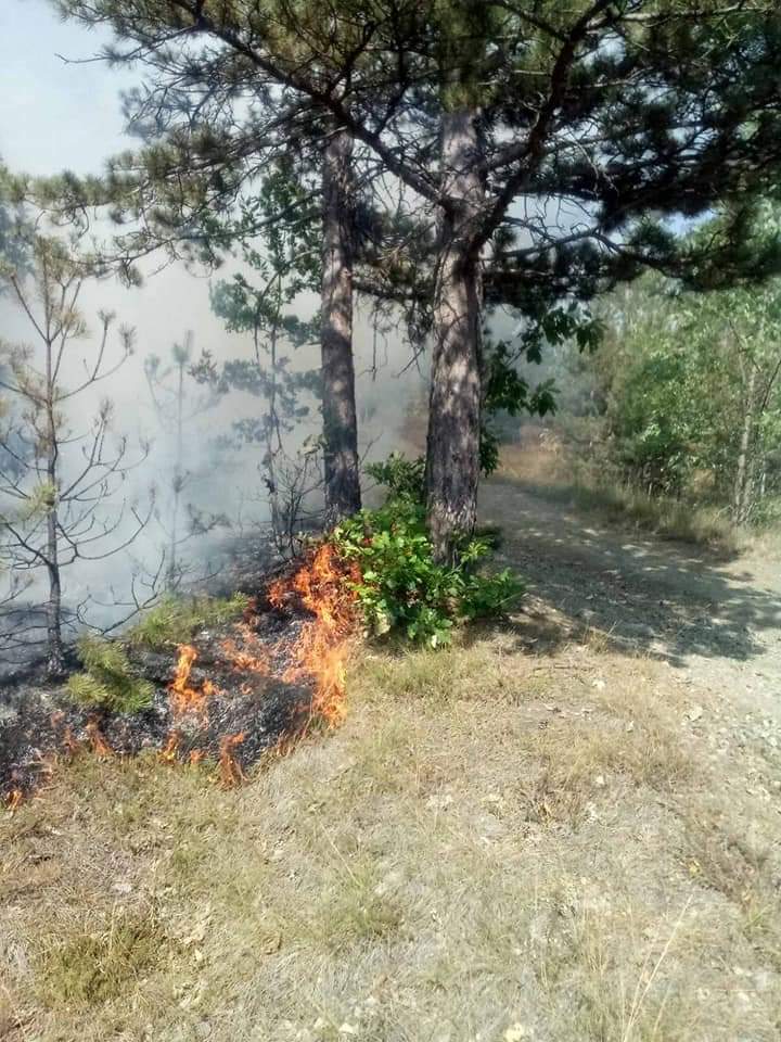 FB_IMG_1659335147141