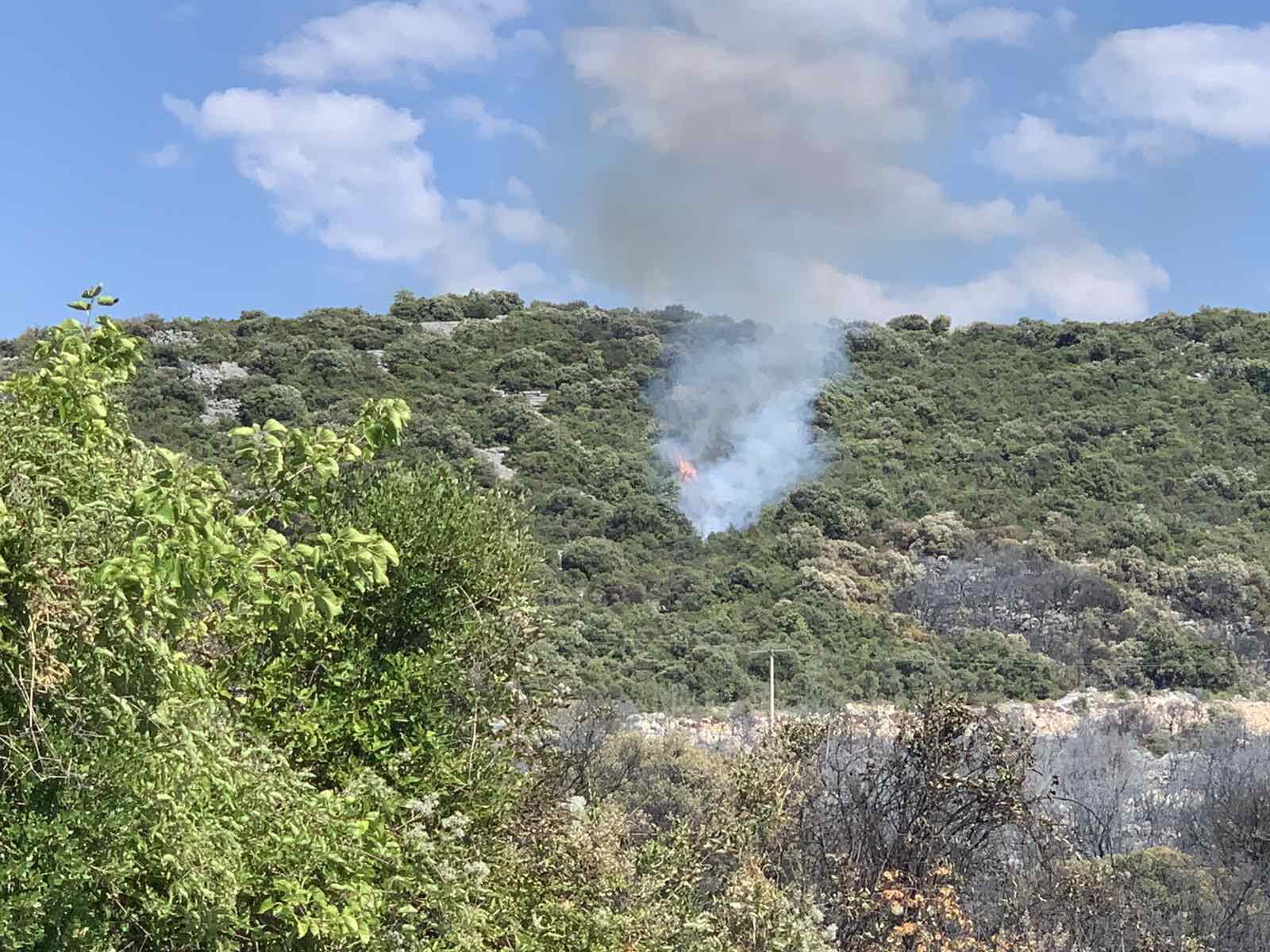 viber_image_2022-08-04_15-27-17-942