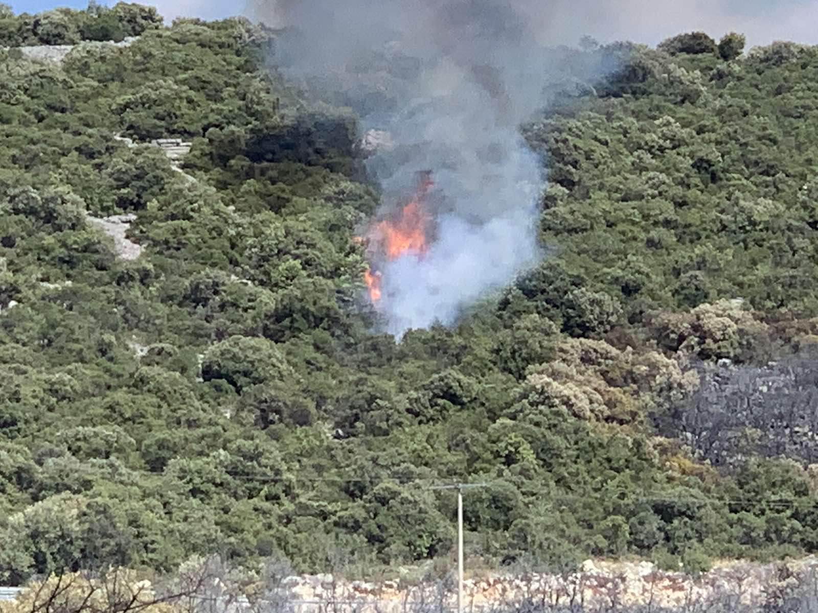 viber_image_2022-08-04_15-27-18-915