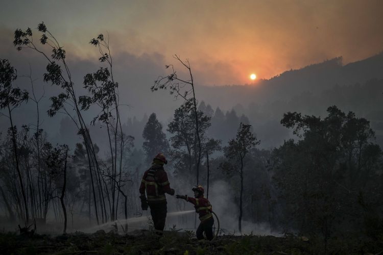 1659731559-000_32FT2GQ-750x500