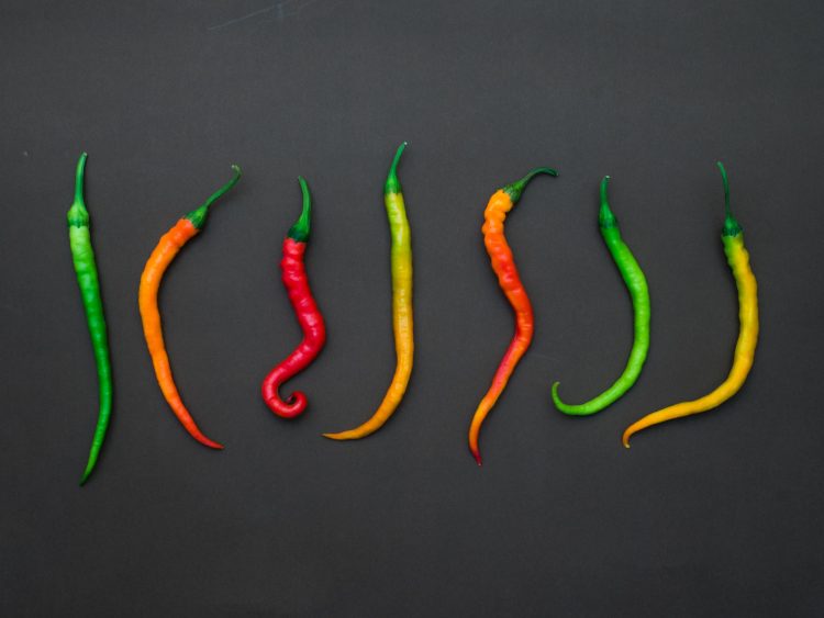 1659970385-pexels-dan-cristian-paduret-5956193-750x563