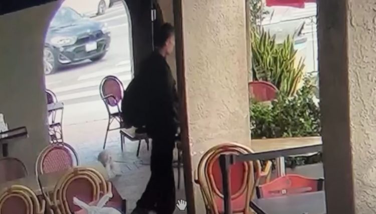 1660632108-Capture-750x426