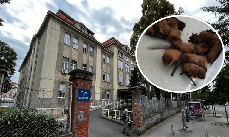 1660639096-sismisi-768x461