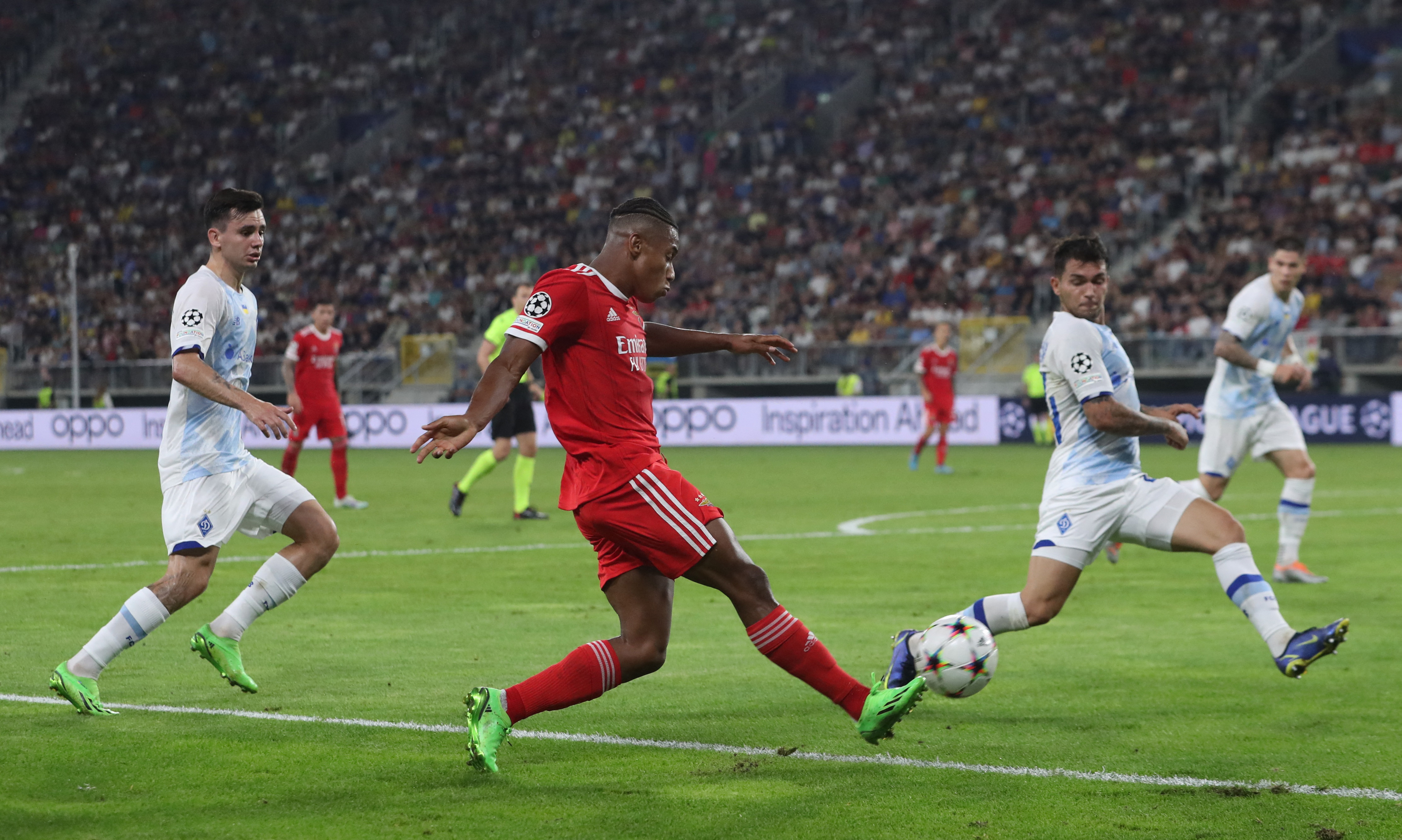 Champions League Qualifying - Play-off First Leg - Dynamo Kyiv v Benfica