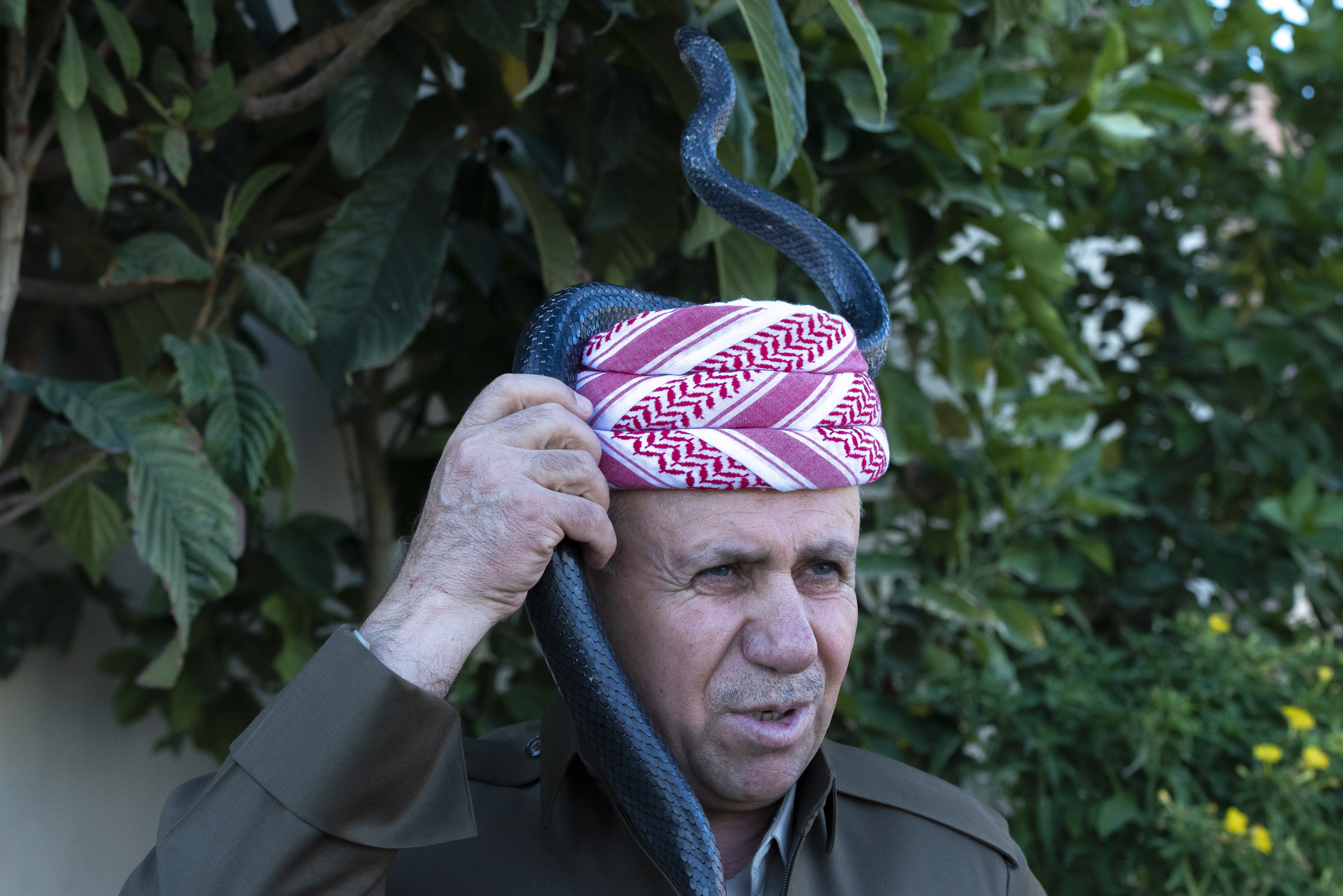 Iračanin godinama u porodičnoj kući uzgaja 60 zmija