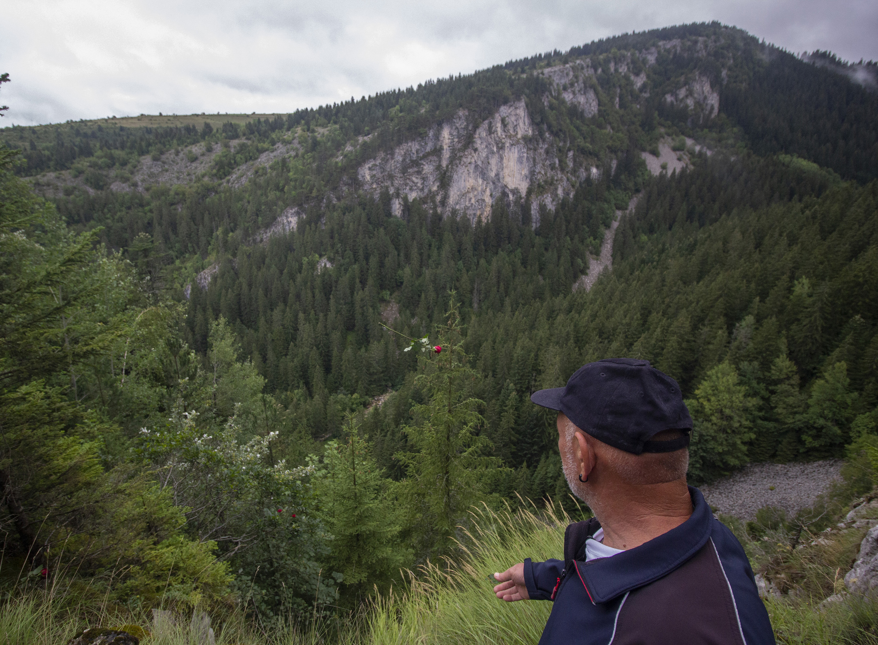 Haris Badzic/Anadolija