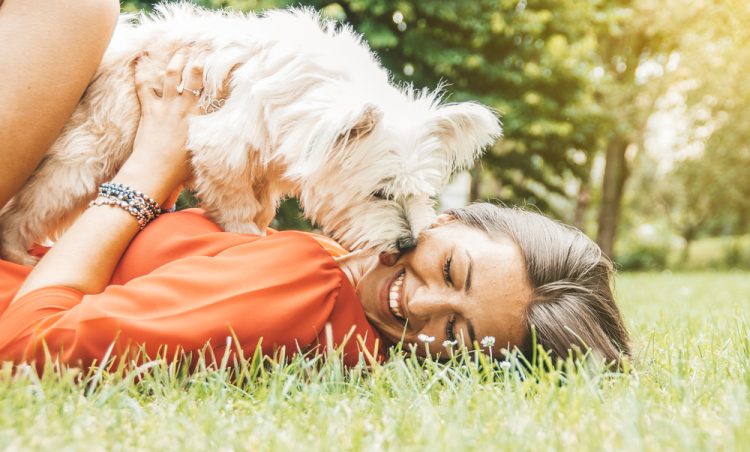 1661244641-shutterstock_1722951709-750x452