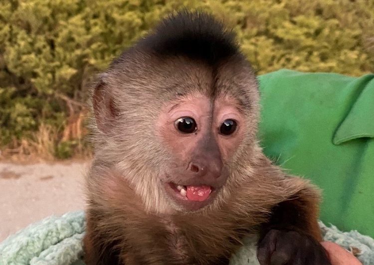 1661255417-299381057_435204181963856_5910243078175713251_n-e1661255434238-750x532