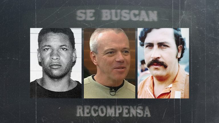 1661233375-pavle-j-1-768x432