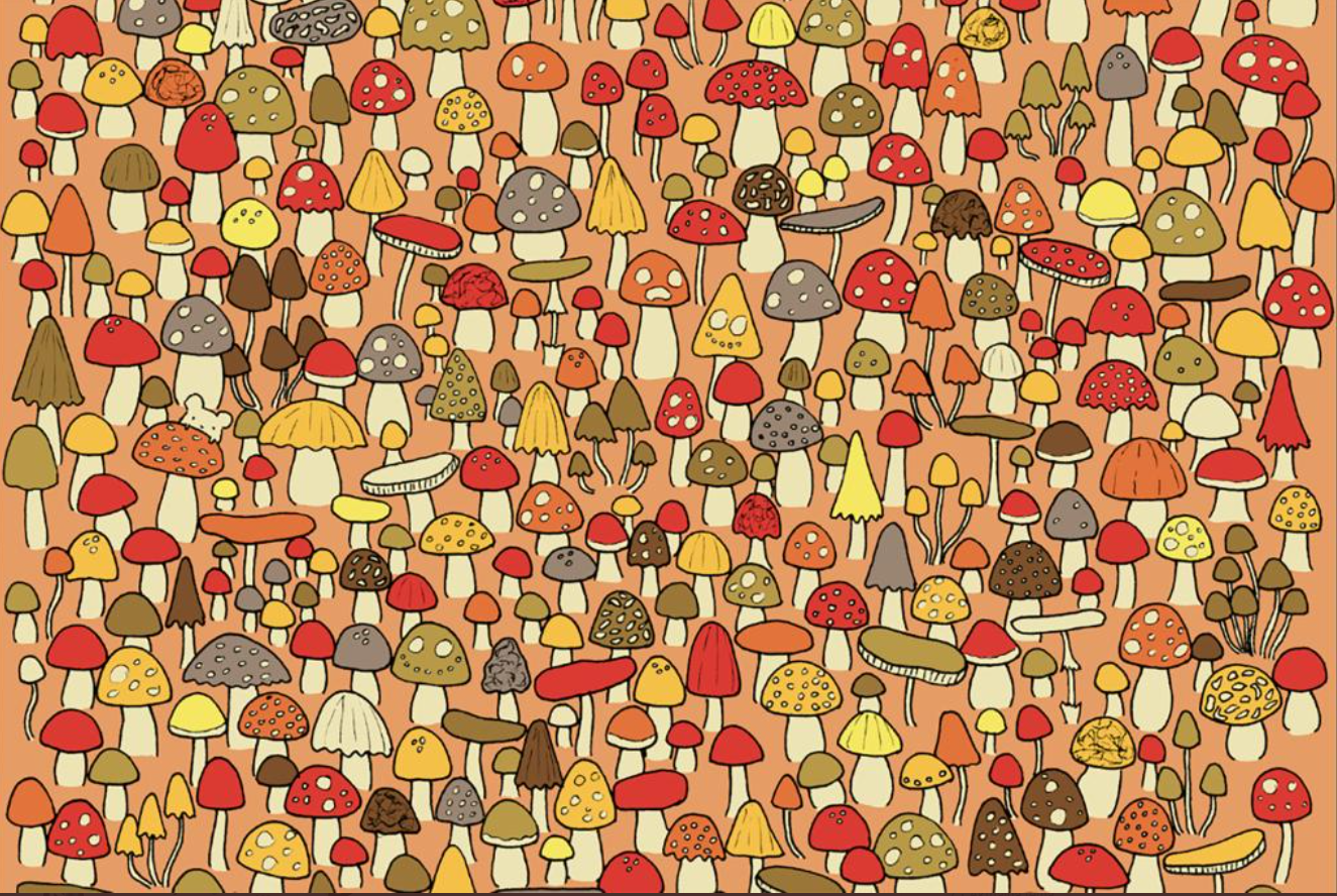 mozgalica mis pecurke