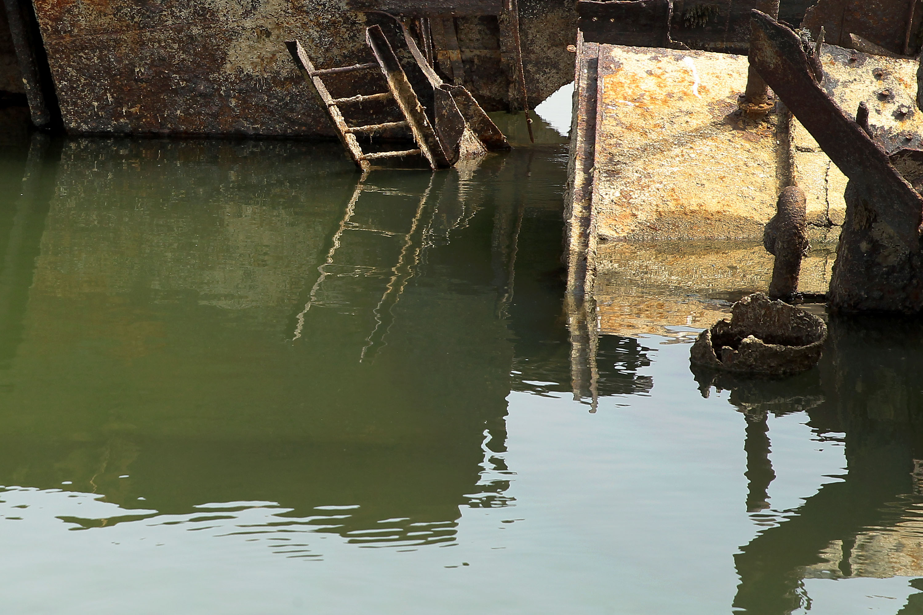 Srbija: Olupine ratnih brodova "isplivale" na površinu Dunava, sledi zahtevan projekat čišćenja