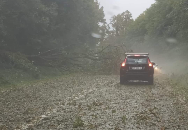 sadw as asd asdaasd da