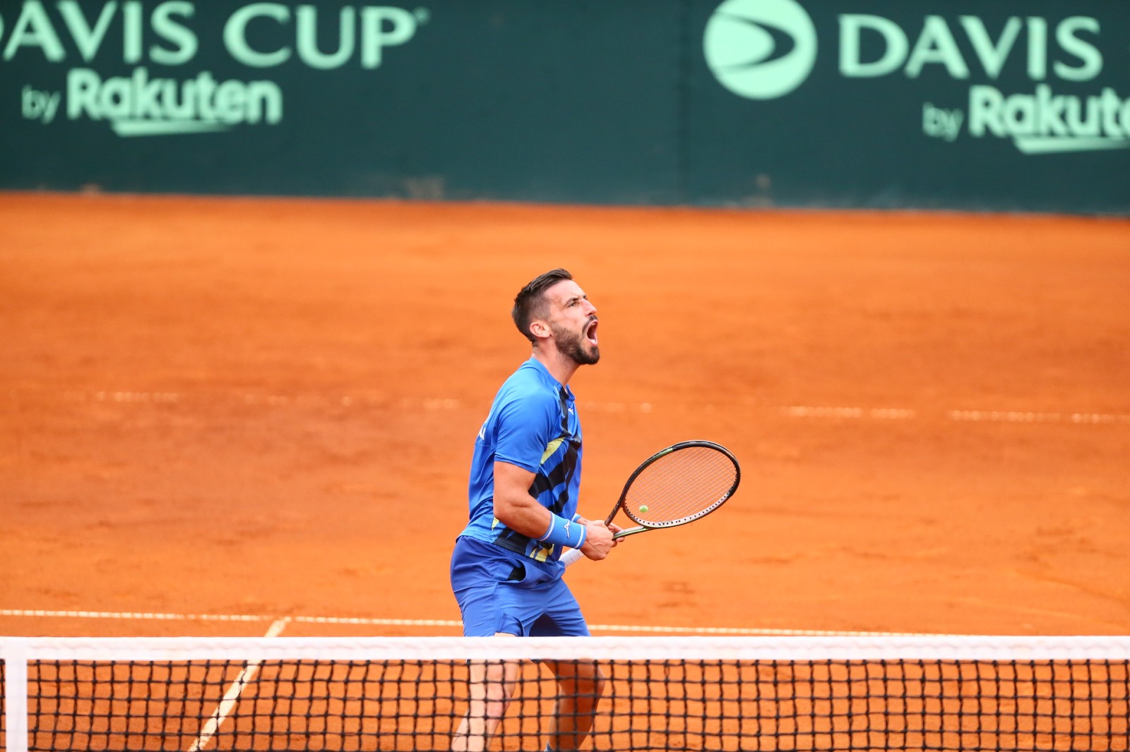 Damir Džumhur Davis Cup Bosna i Hercegovina-V