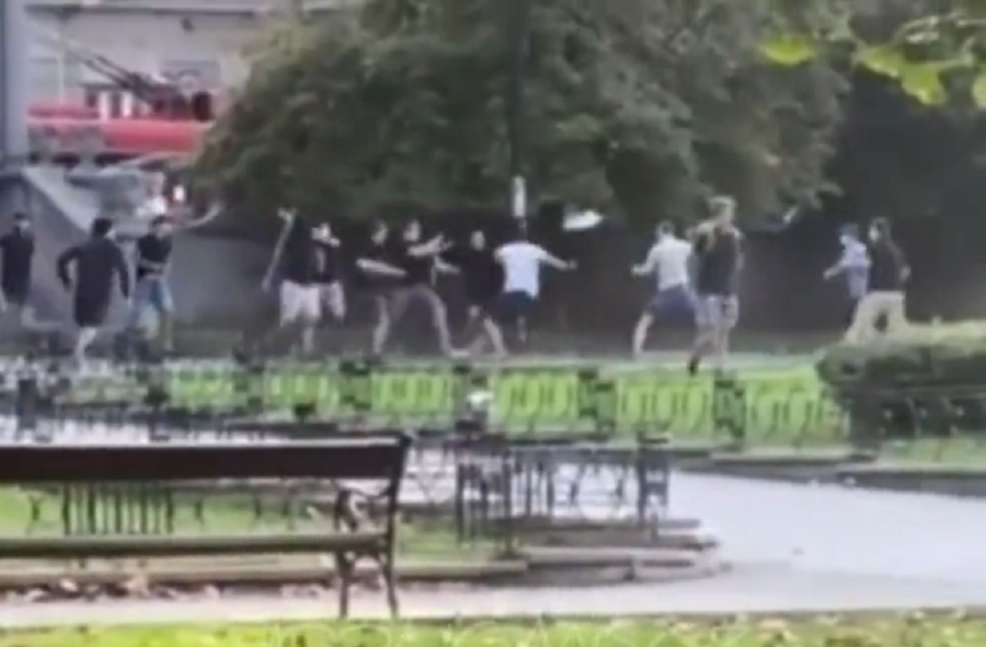 tuca delije i grobari