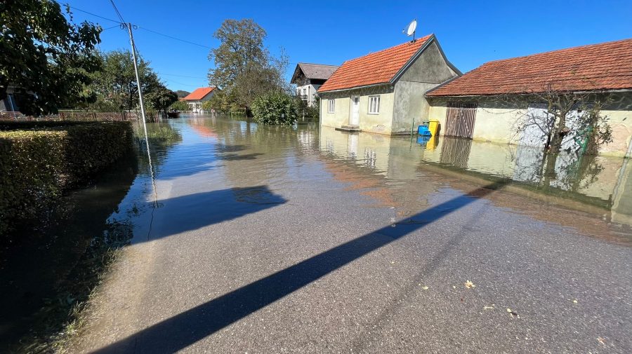 Katarina Brečić/N1