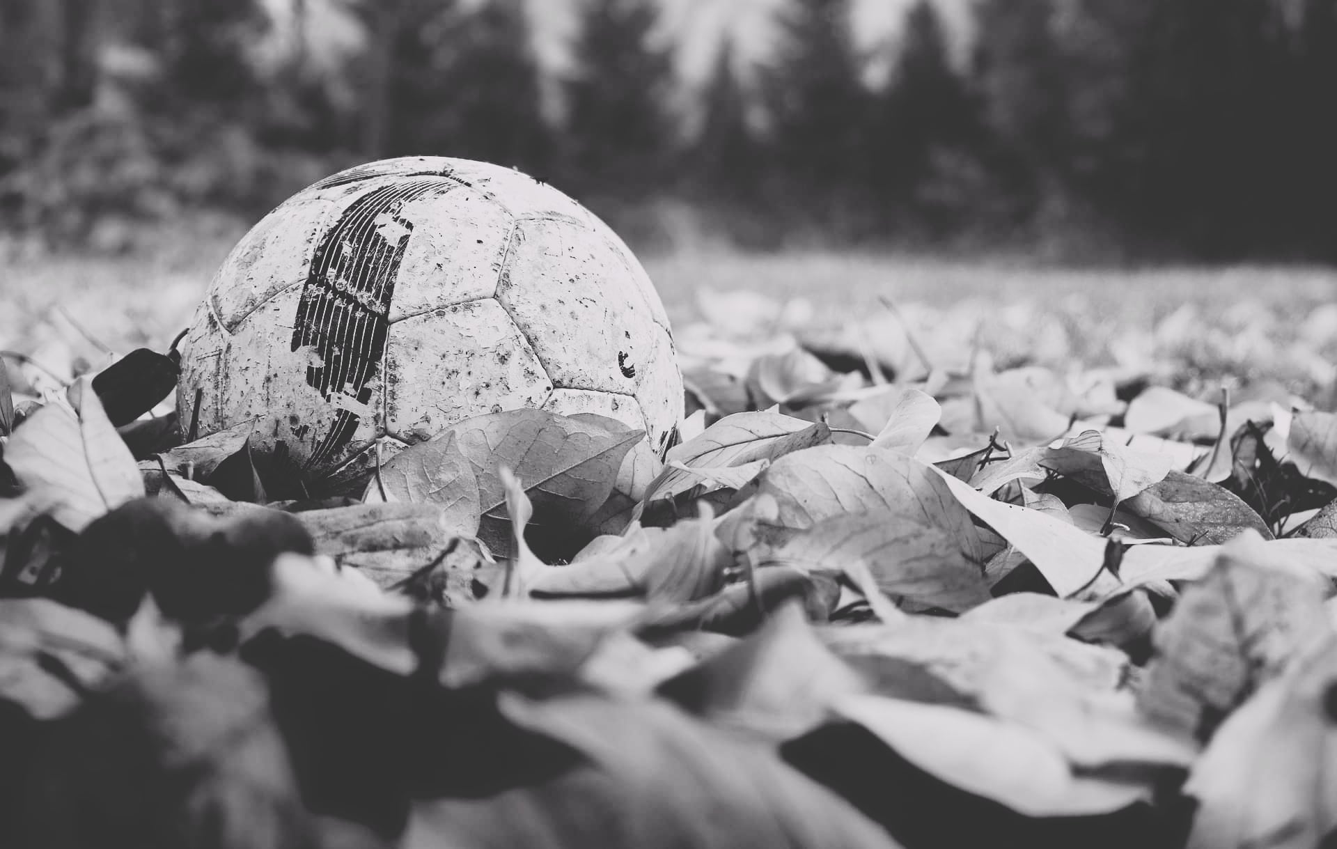 309050558_762244695076160_6592384103622667638_n