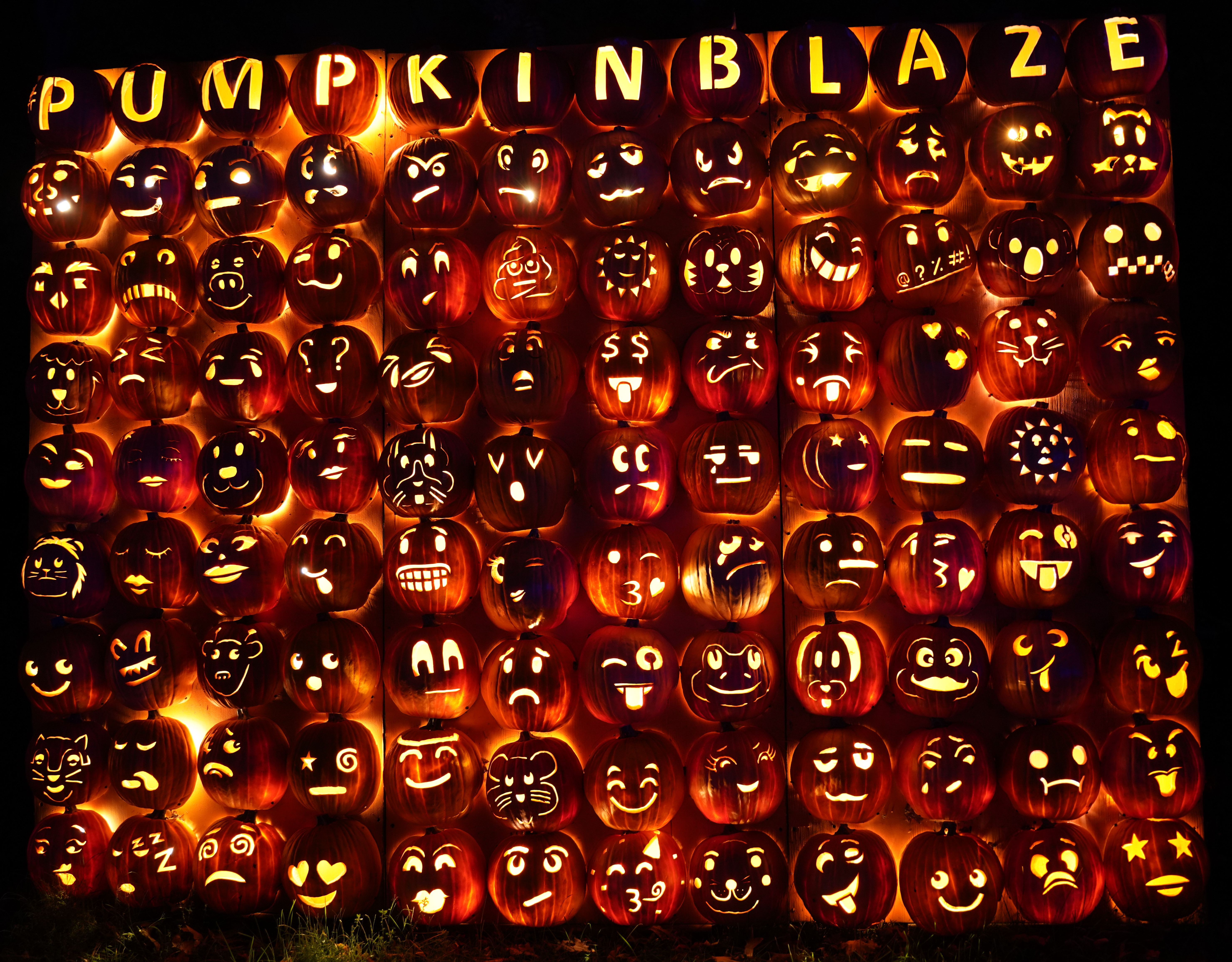 SAD: Umjetnici na tradicionalnim festivalu od bundeva i uz pomoć rasvjete stvorili čaroliju