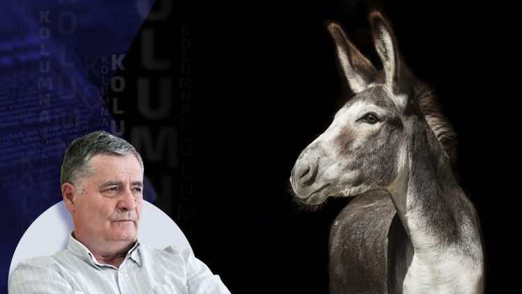 1666165914-ljubodrag-kolumna-123-750x422