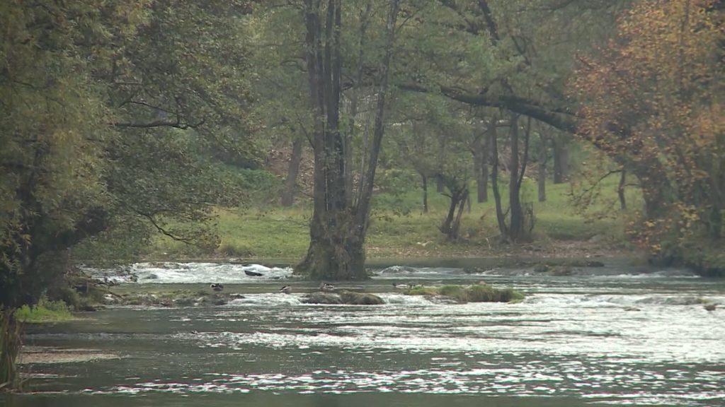 1666202041-PLIVA-1024x576