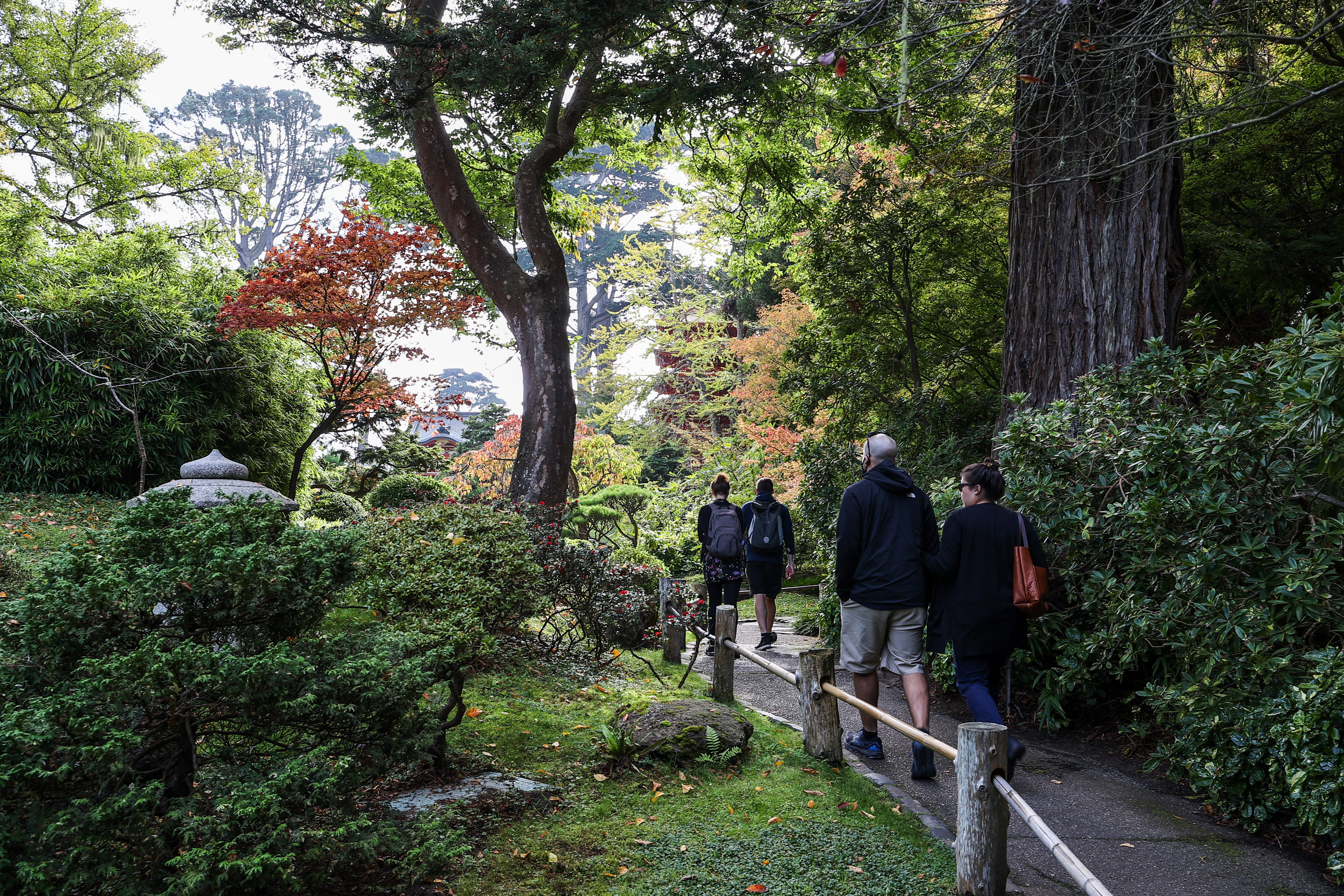 SAD: Čarobna jesen u parku "Golden Gate" u San Francisku