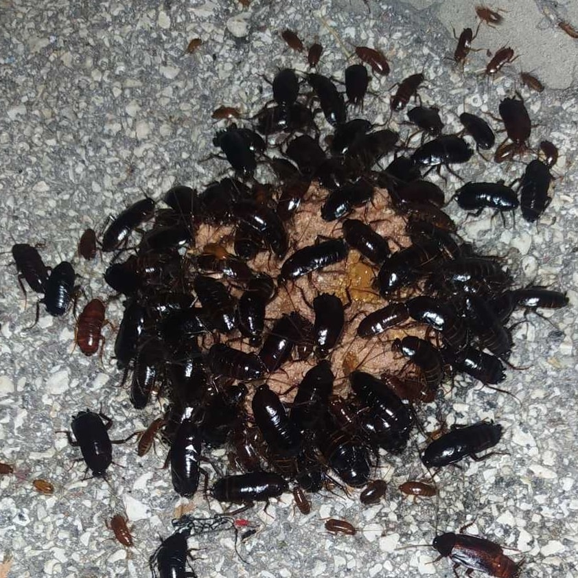 311705430_538806074916526_4888551932211007430_n