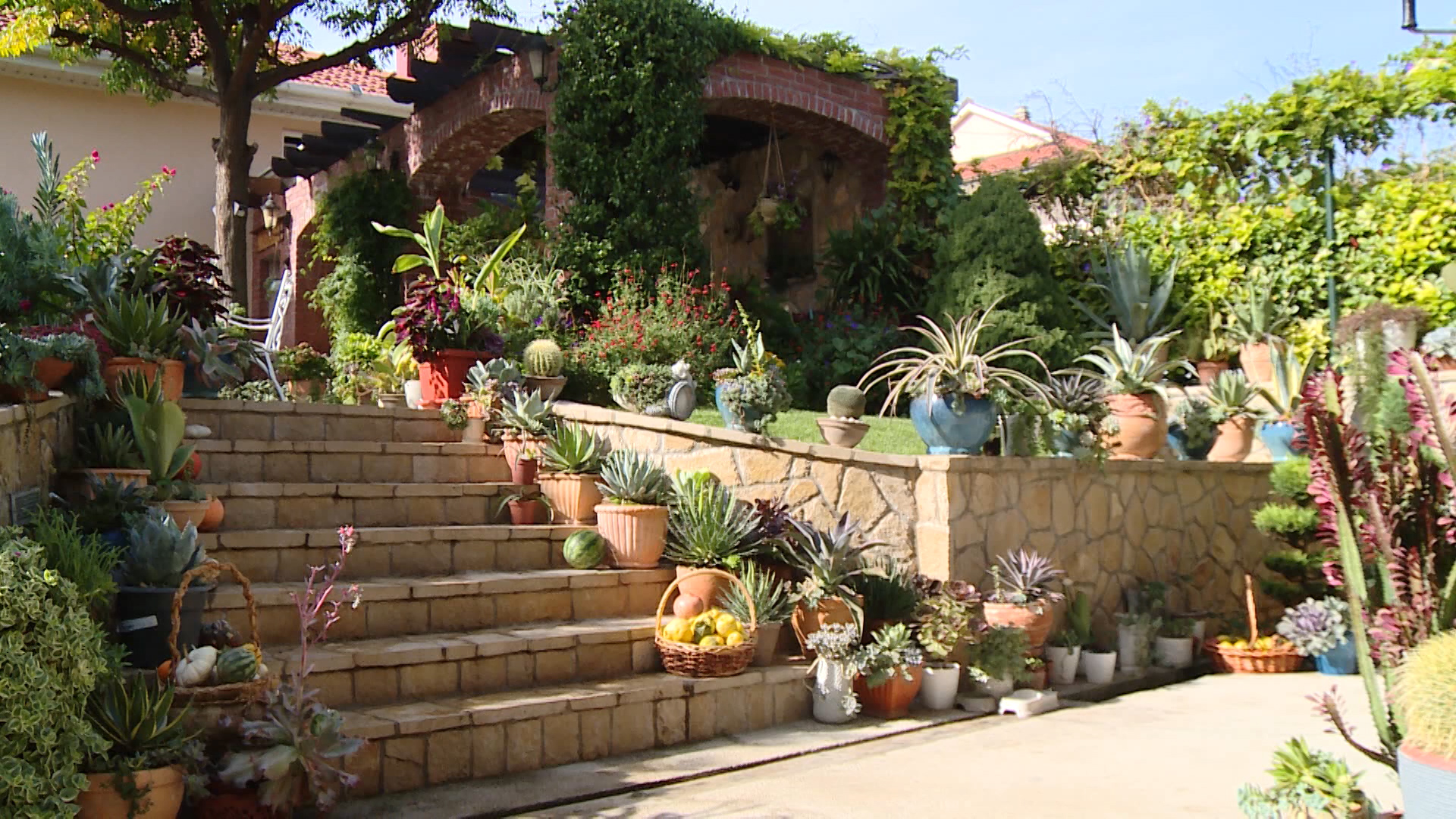 SA-CVIJECE PKG-DJK-1(20221030-120340301).mxf.00_00_02_03.Still001