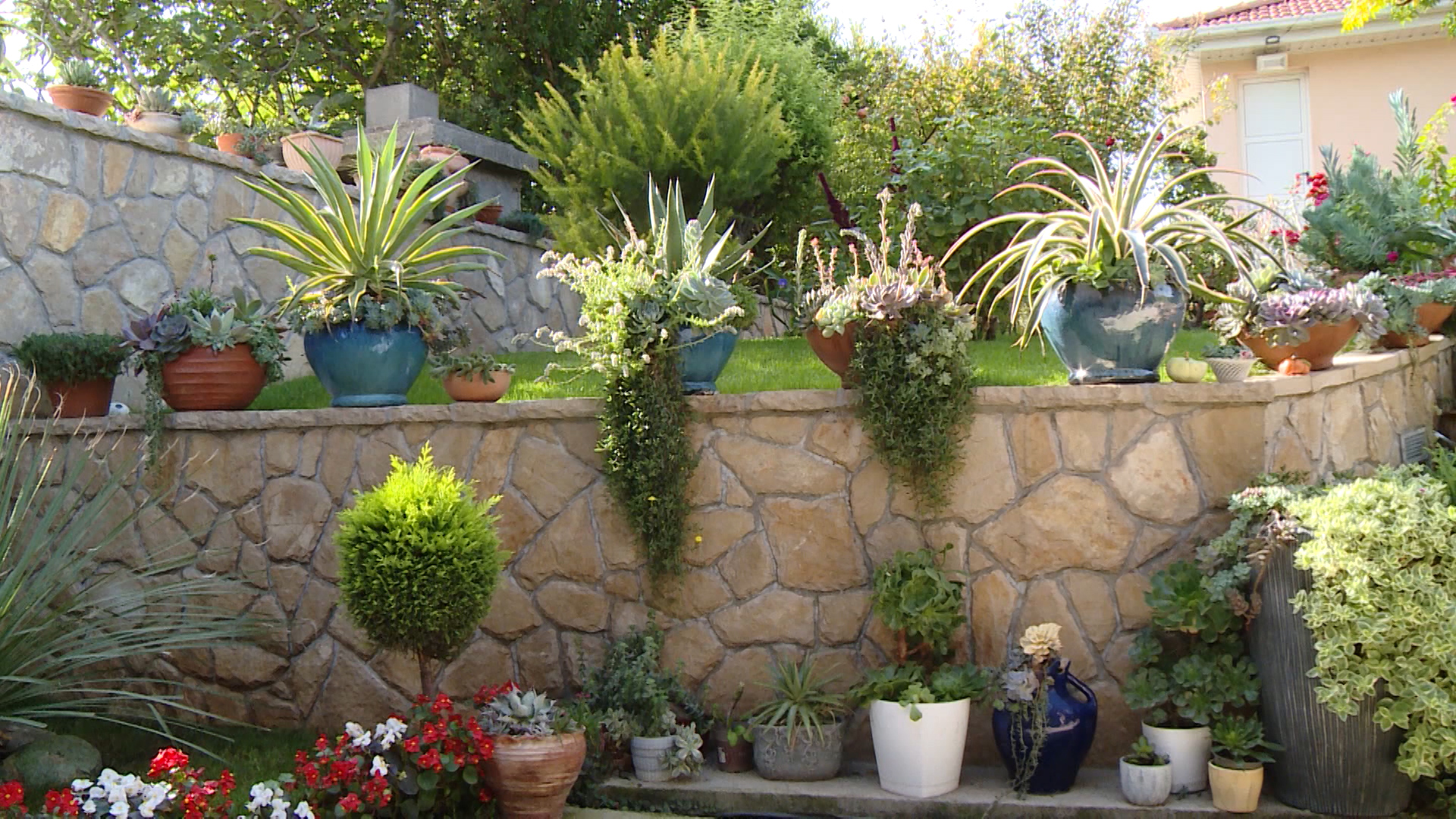 SA-CVIJECE PKG-DJK-1(20221030-120340301).mxf.00_00_11_21.Still004