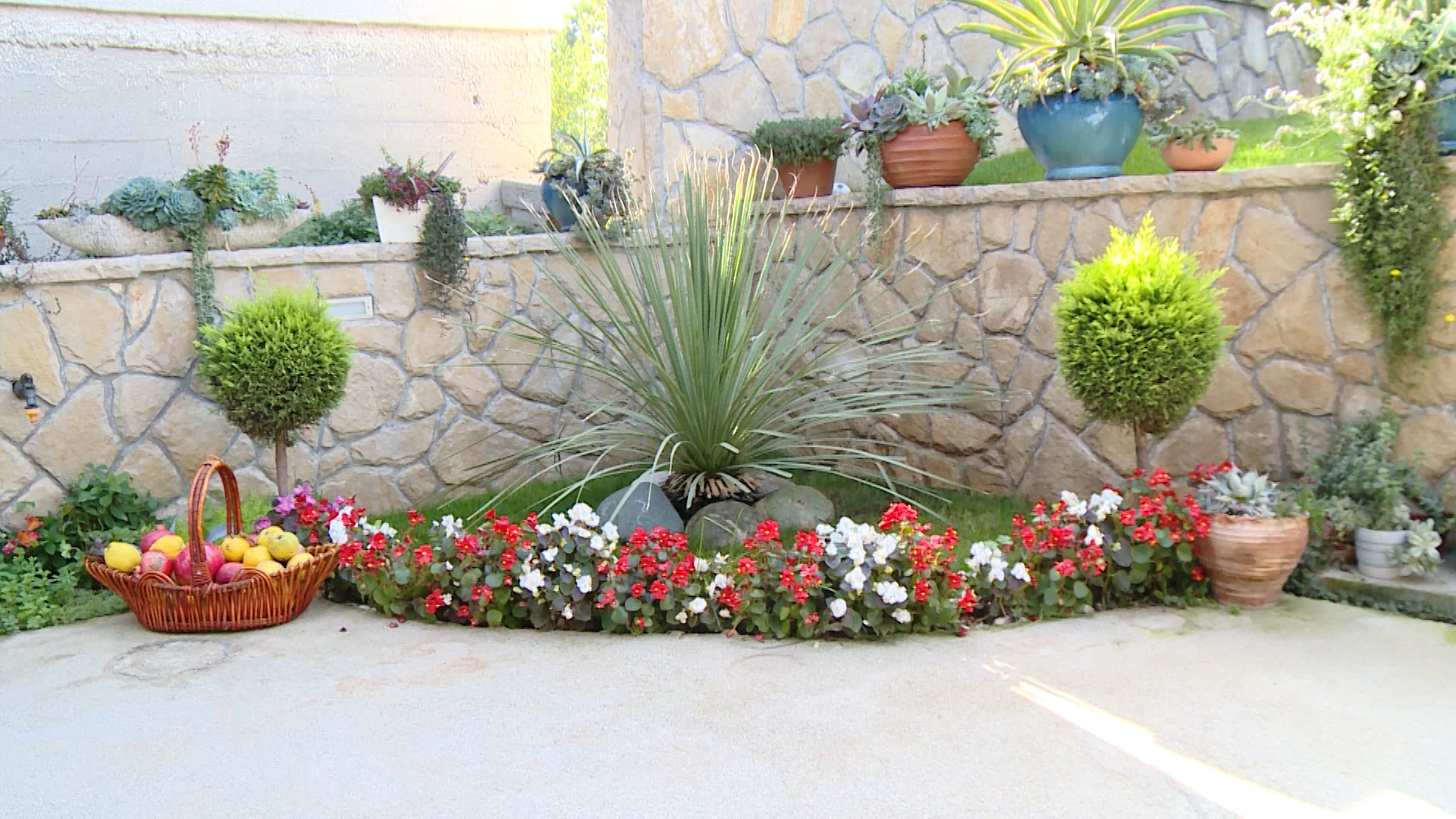 SA-CVIJECE PKG-DJK-1(20221030-120340301).mxf.00_00_10_16.Still003