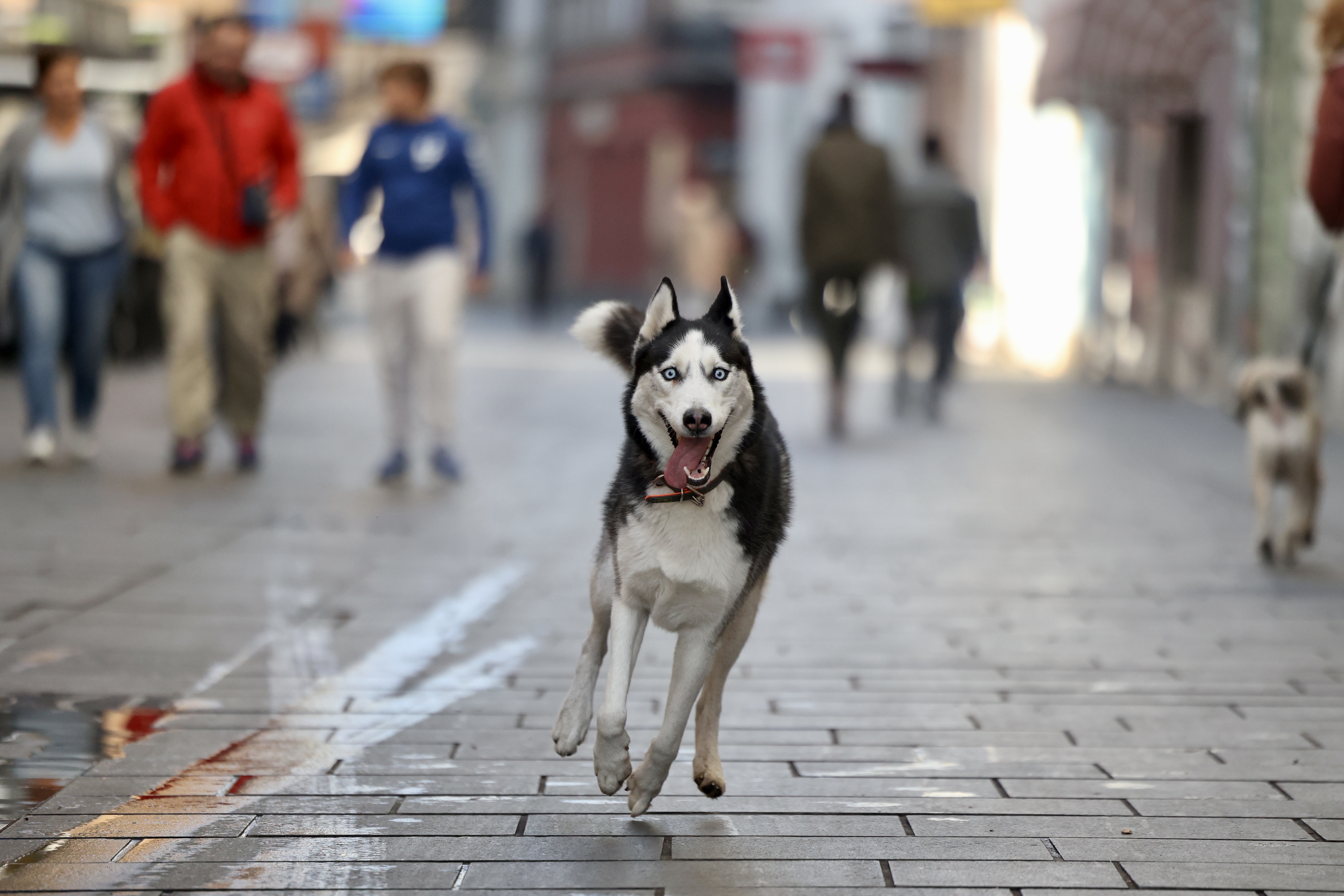 vrijeme, sunčano, vremenska