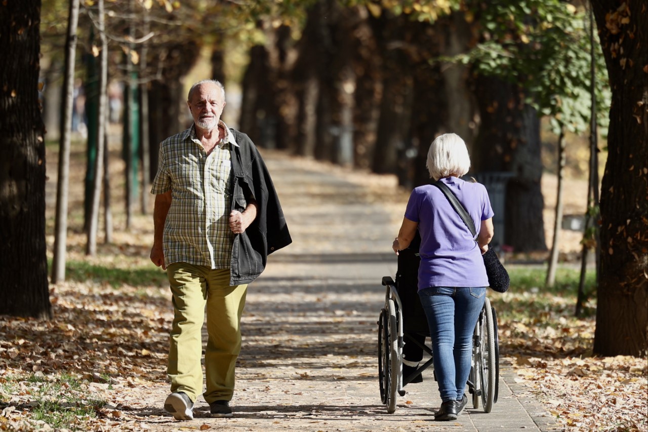 šetači, sunce, park, jesen