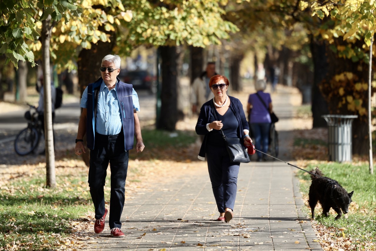 šetači, sunce, park
