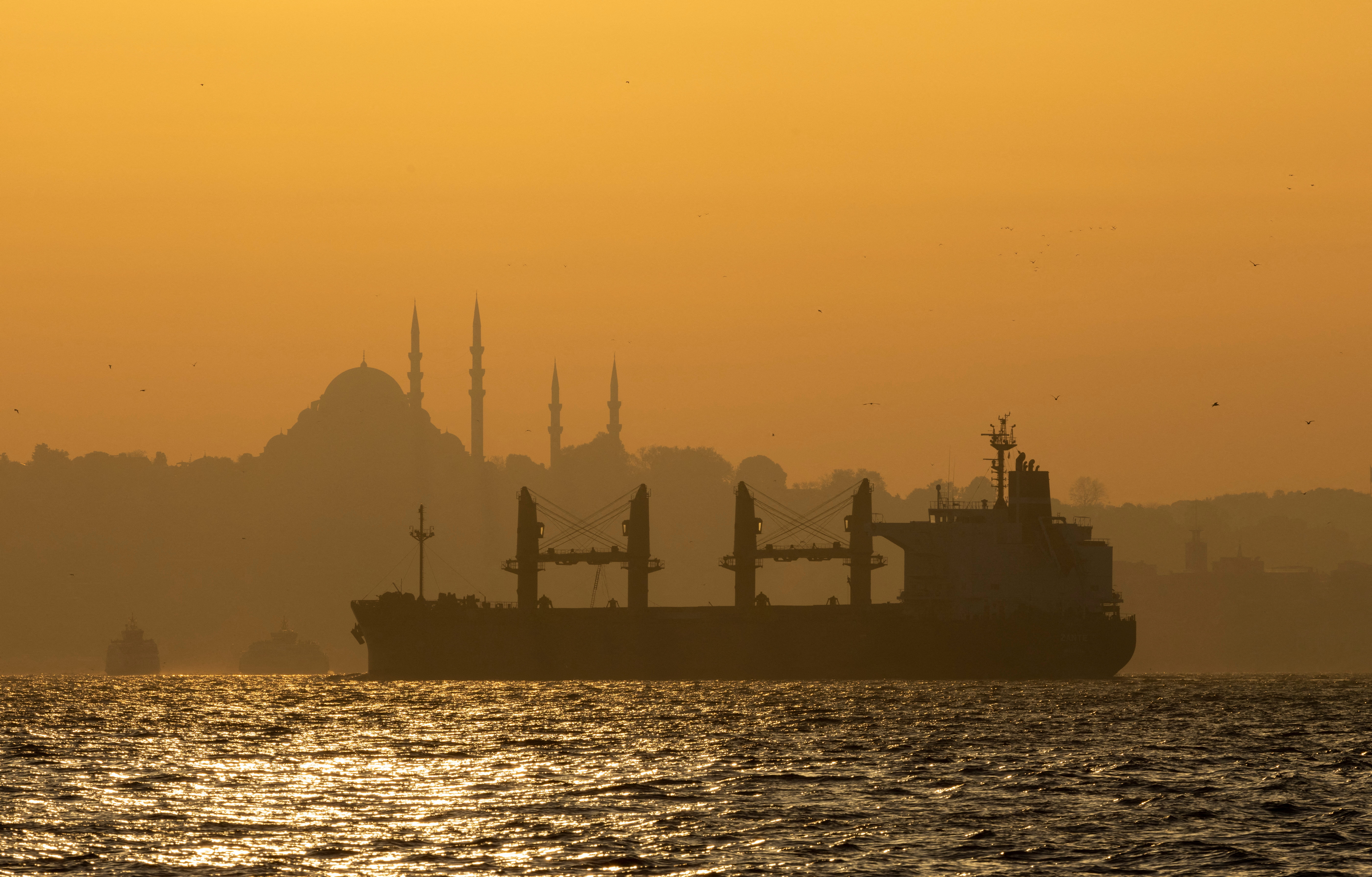 Zante, a cargo vessel carrying Ukrainian grain, transits Bosphorus, in Istanbul