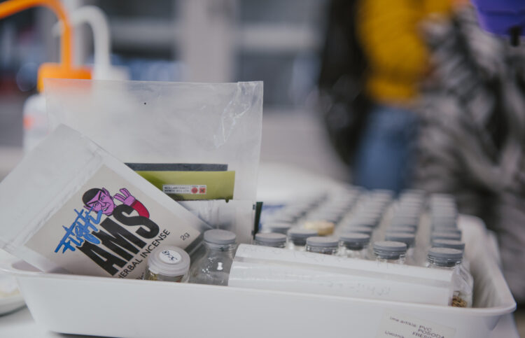 1667473540-DSC_5865-e1667473654264-750x483