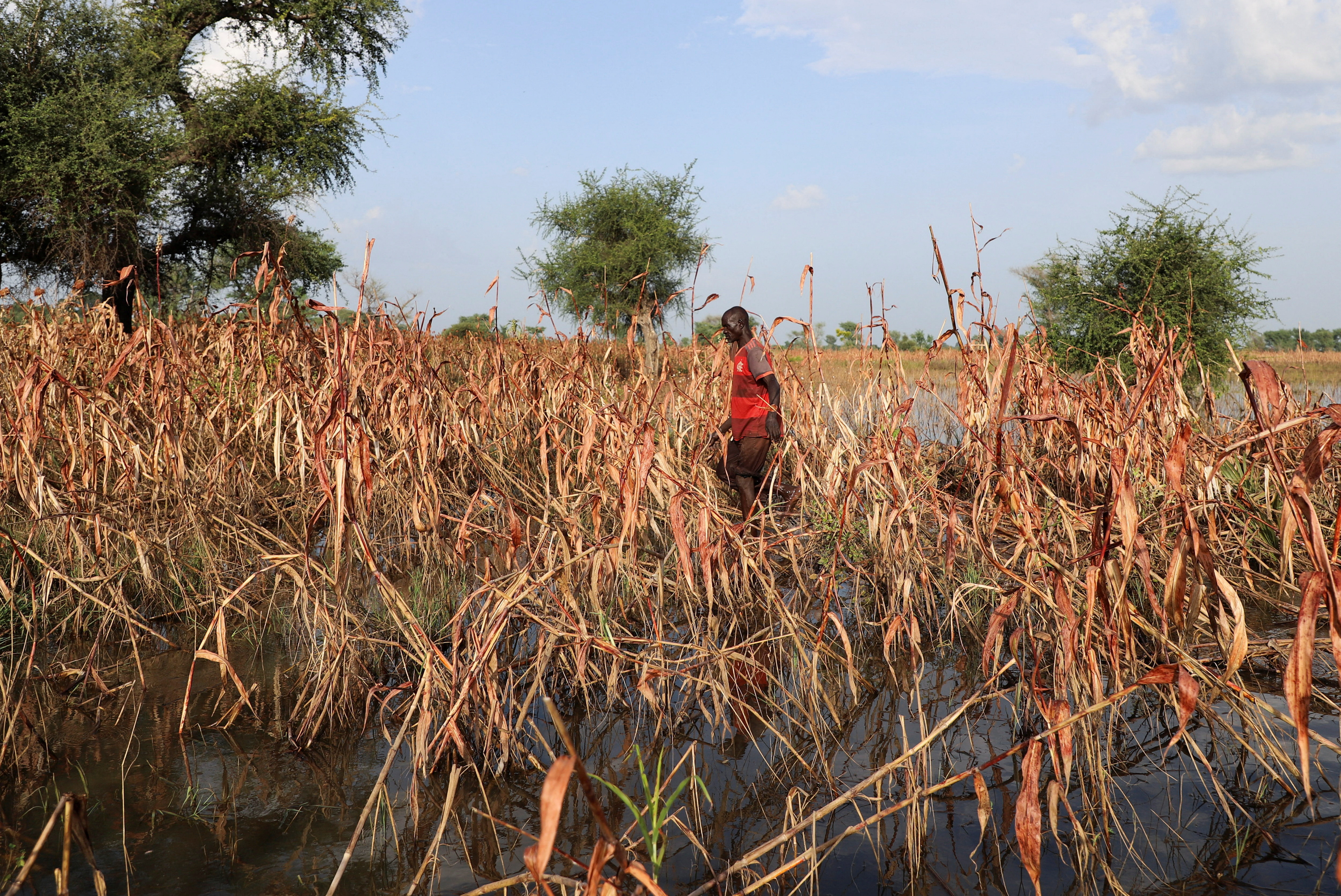 Catastrophic floods in West Africa threaten food security for years to come in Dana