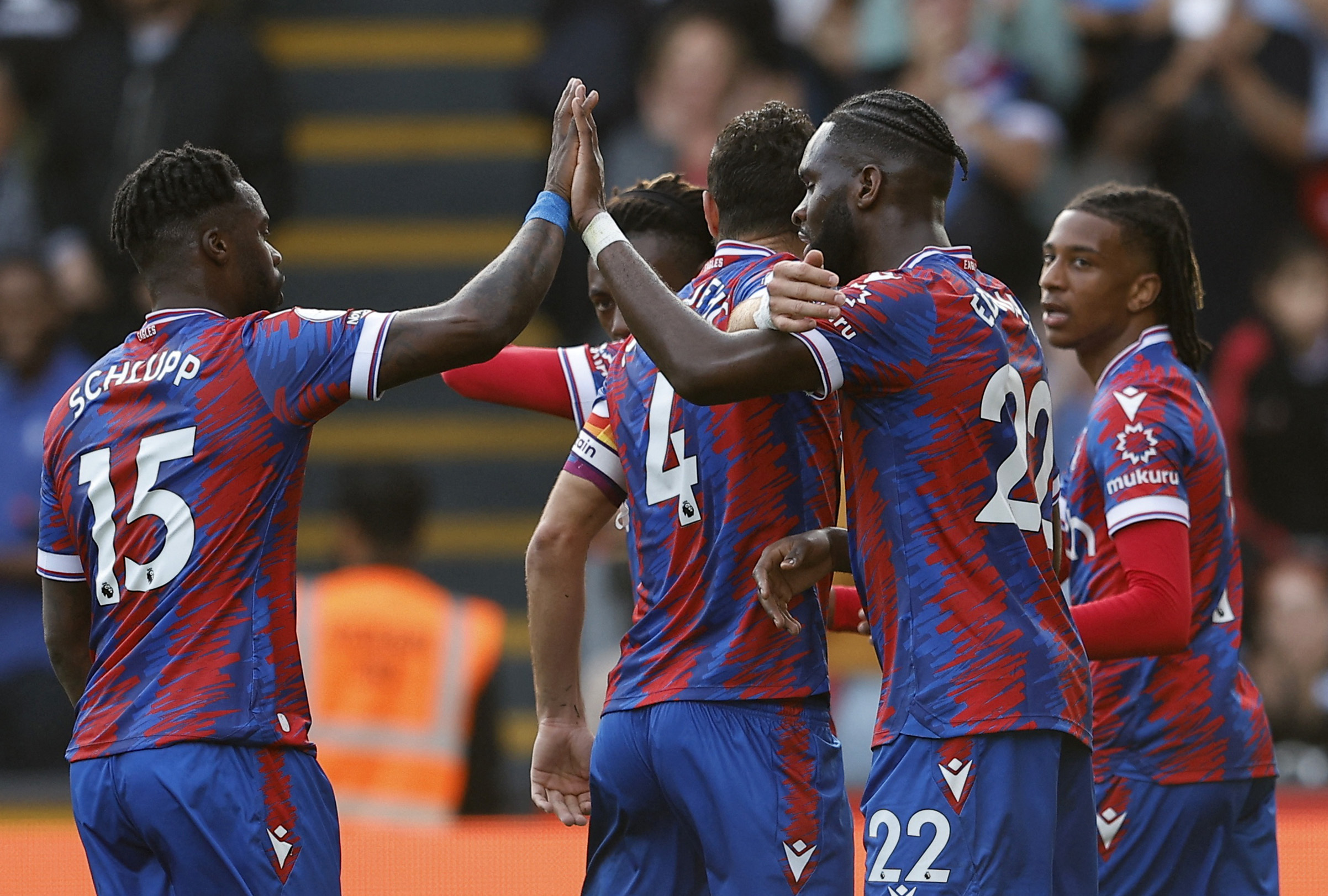 Premier League - Crystal Palace v Southampton