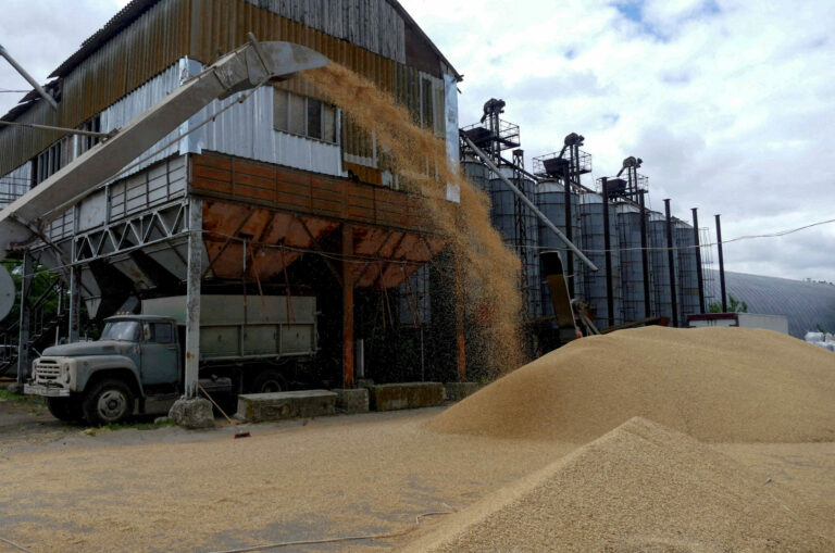 žito pšenica ukrajina rusija