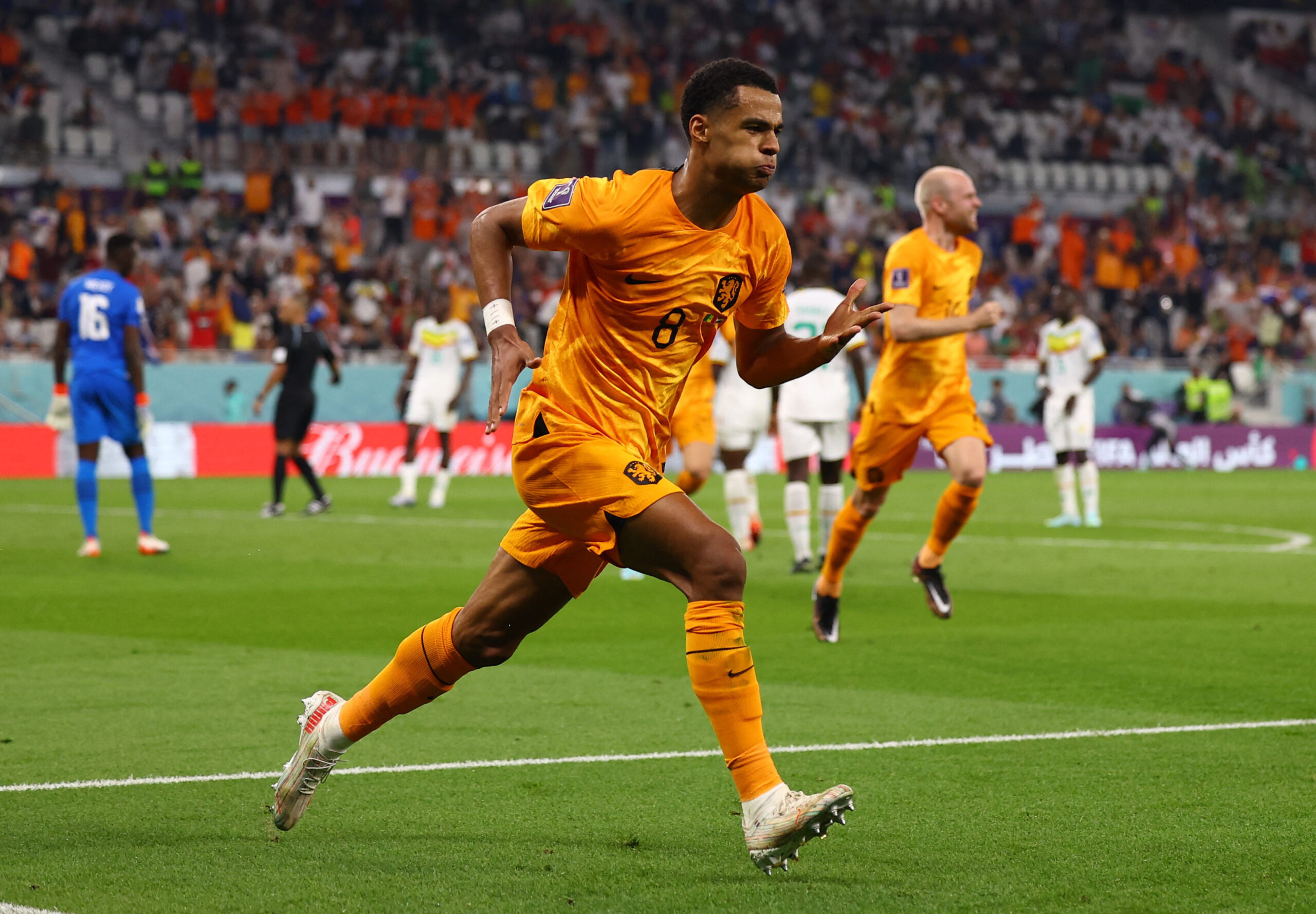 1669052884-2022-11-21T174710Z_2050736639_UP1EIBL1DEK8K_RTRMADP_3_SOCCER-WORLDCUP-SEN-NLD-REPORT-scaled.jpg