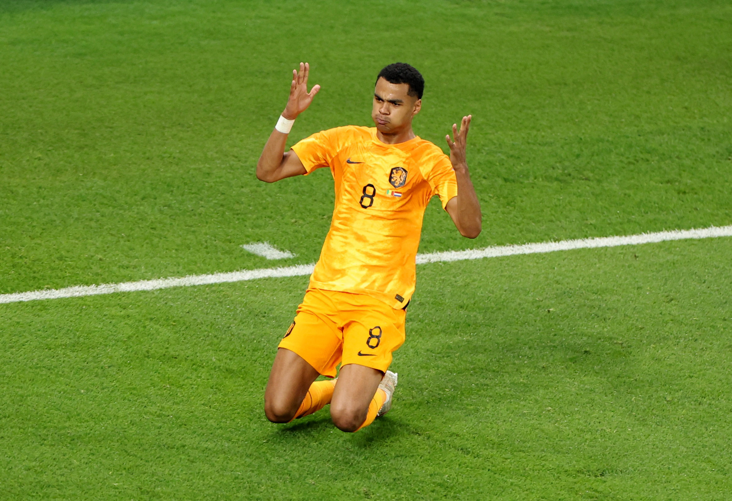 FIFA World Cup Qatar 2022 - Group A - Senegal v Netherlands