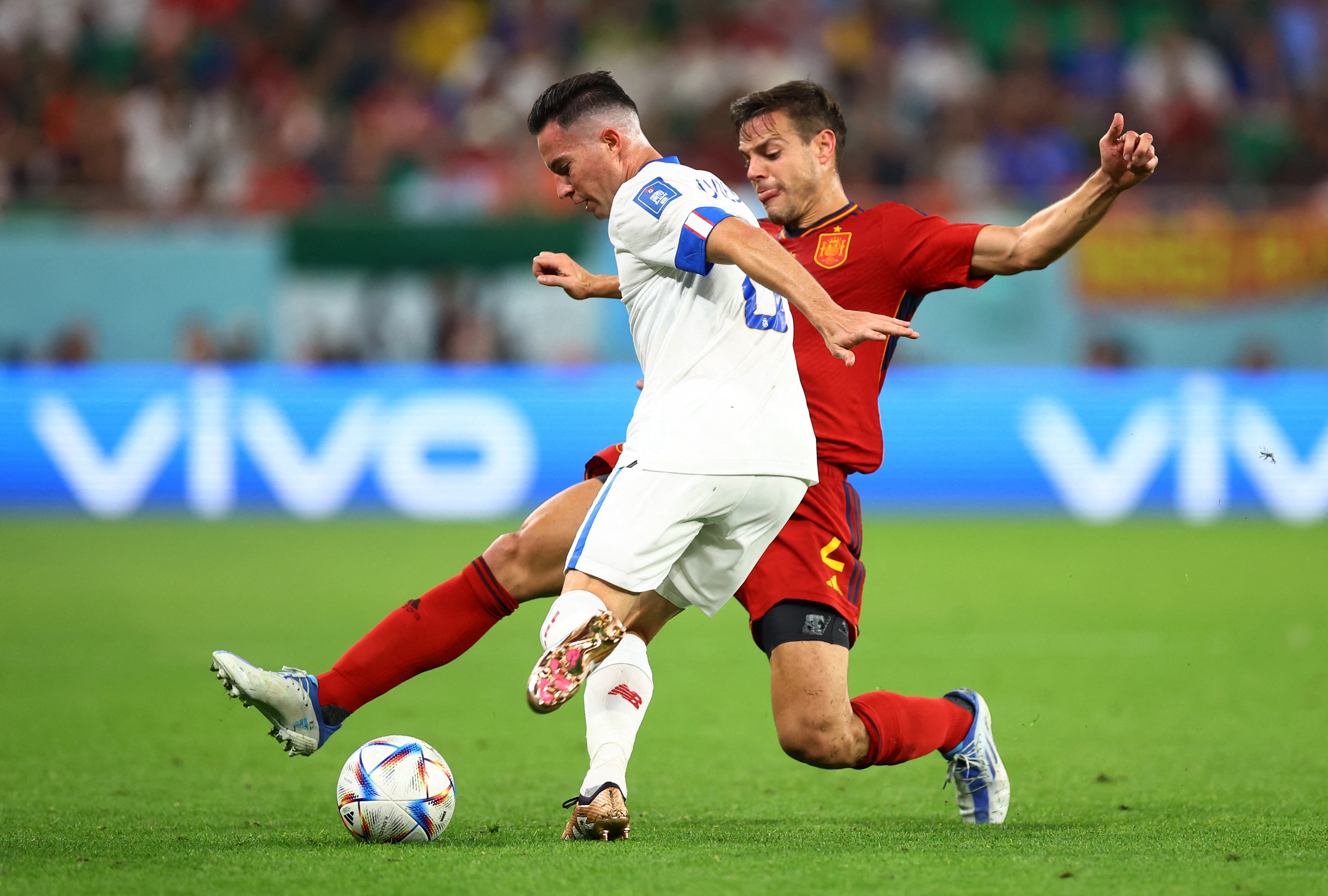 REUTERS/Hannah Mckay