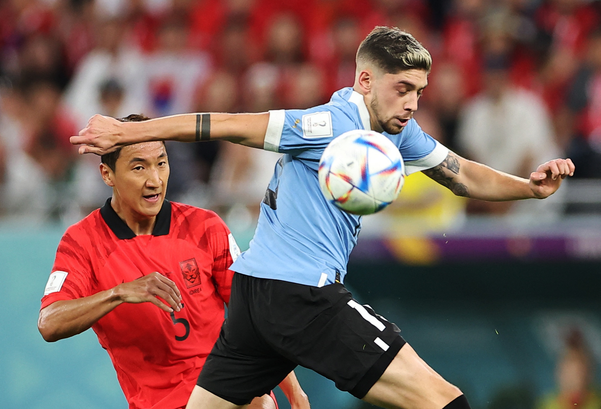 FIFA World Cup Qatar 2022 - Group H - Uruguay v South Korea