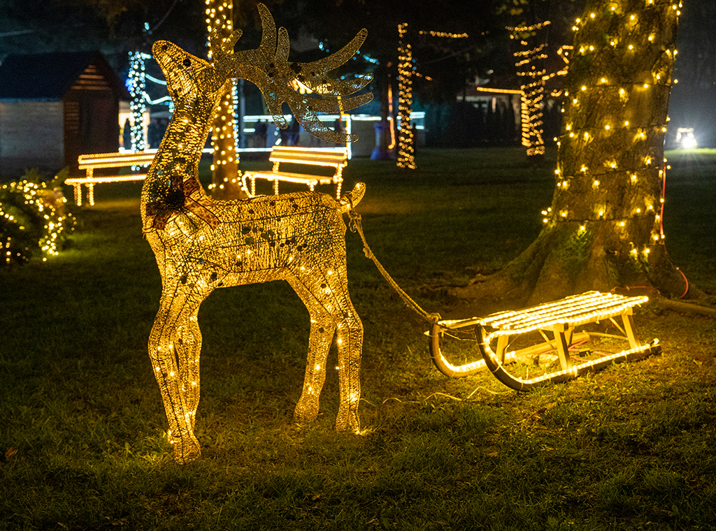 Milan Miletić/ Katolički tjednik