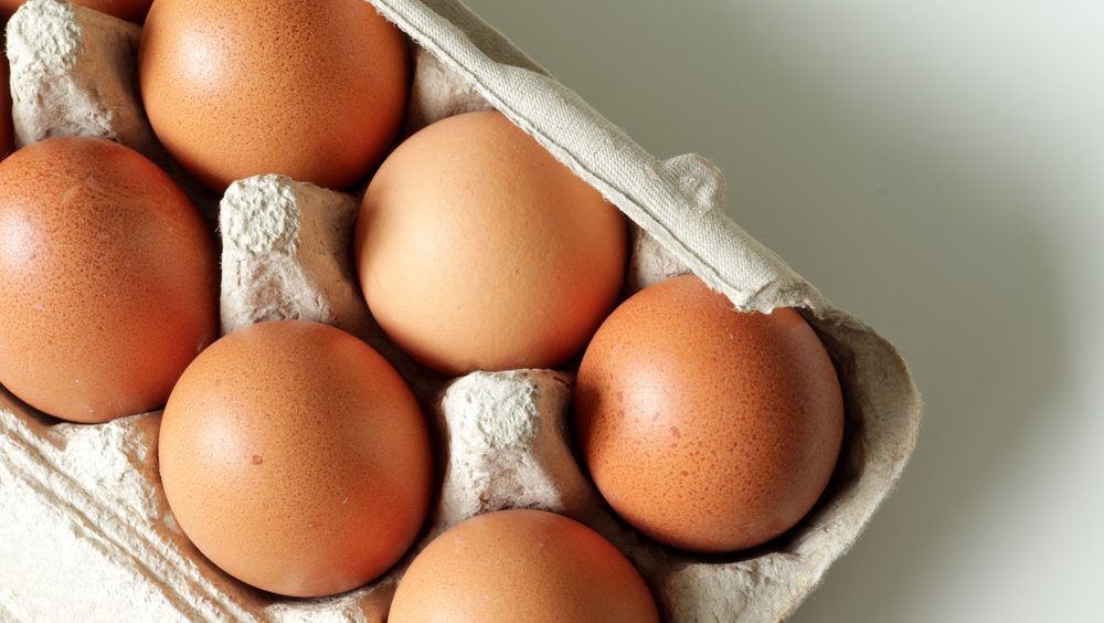 shutterstock_1929112481-1000x564