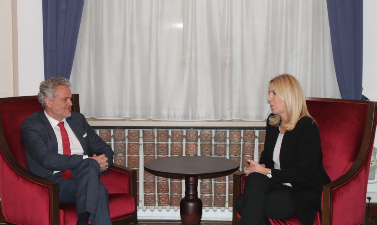 cvijanović i sattler