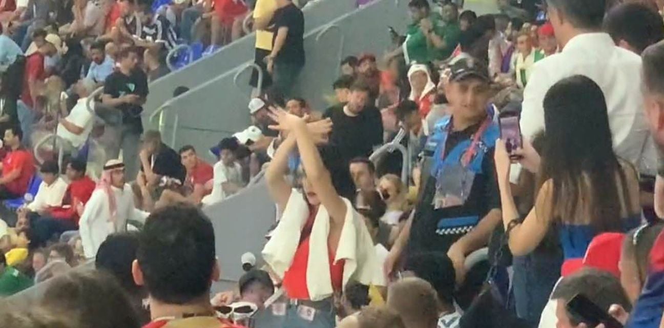 62433573-navijacica-svicarske